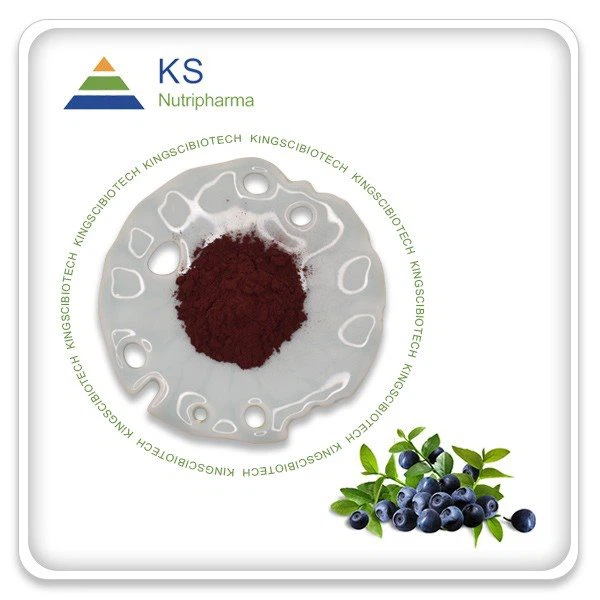 Bilberry -hedelmäuute