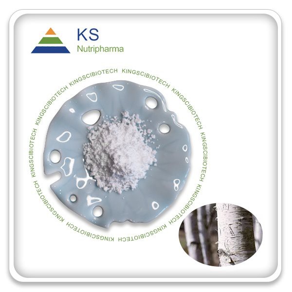 Koivun kuoriuute Betuliini